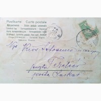 Редкая открытка Пара гончих1908 год
