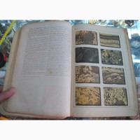 Книга Атлас минералов, составленный доктором фон Курром, 1911 год