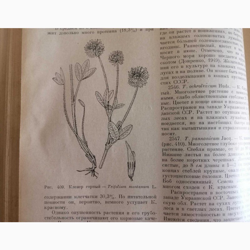 Фото 2. Продам книгу 1951 года Кормовые растения сенокосов и пастбищ СССР
