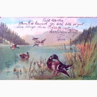 Редкая открытка Утки на озере 1917 год