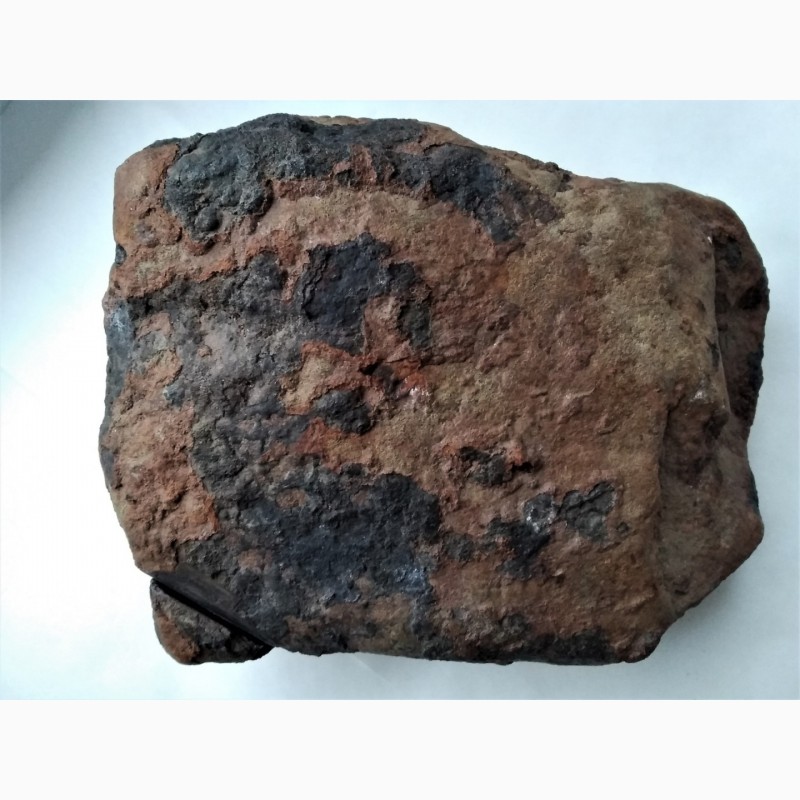 Фото 3. Метеорит каменный возможно марс