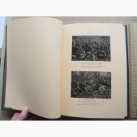 Книга Охоты Кавказа, Калиновский, 1901 год, репринт