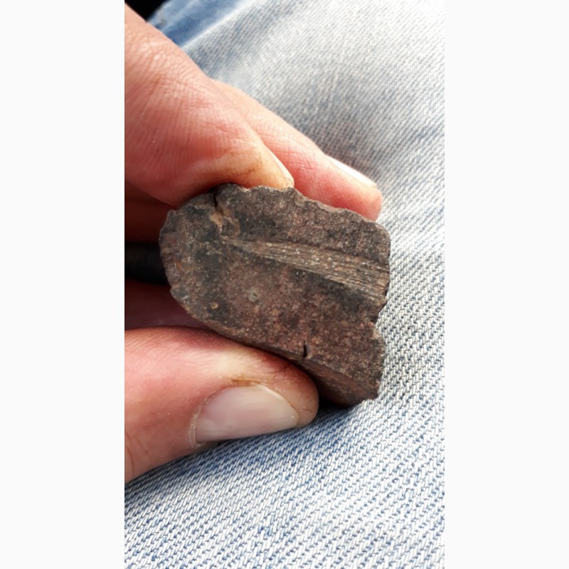 Фото 3. Метеорит каменный