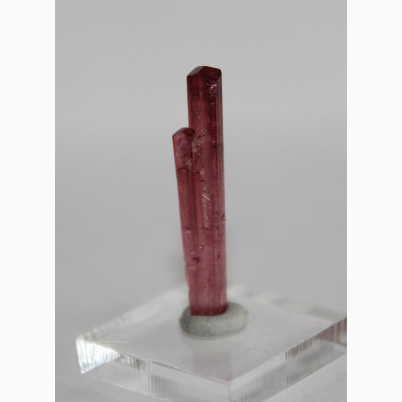 Фото 3. Турмалин розовый (рубеллит), сросток кристаллов с головками