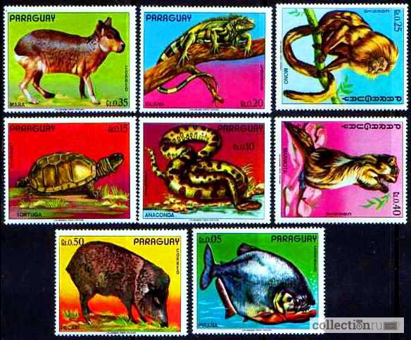 Фото 3. Почтовые марки фауна