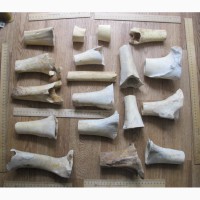 Кости северного оленя, старинные, обработанные, для скульптурных композиций