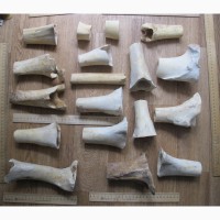 Кости северного оленя, старинные, обработанные, для скульптурных композиций
