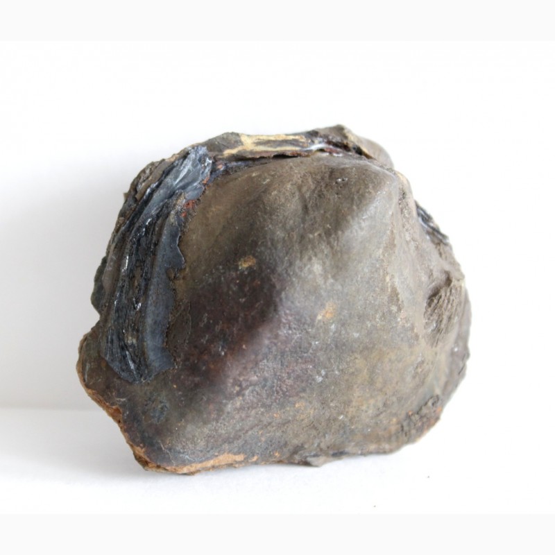 Фото 2. Кристаллы вивианита, псиломелан в полости ископаемой раковины в железной руде