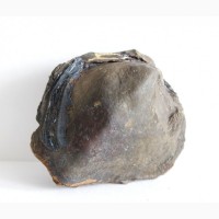Кристаллы вивианита, псиломелан в полости ископаемой раковины в железной руде