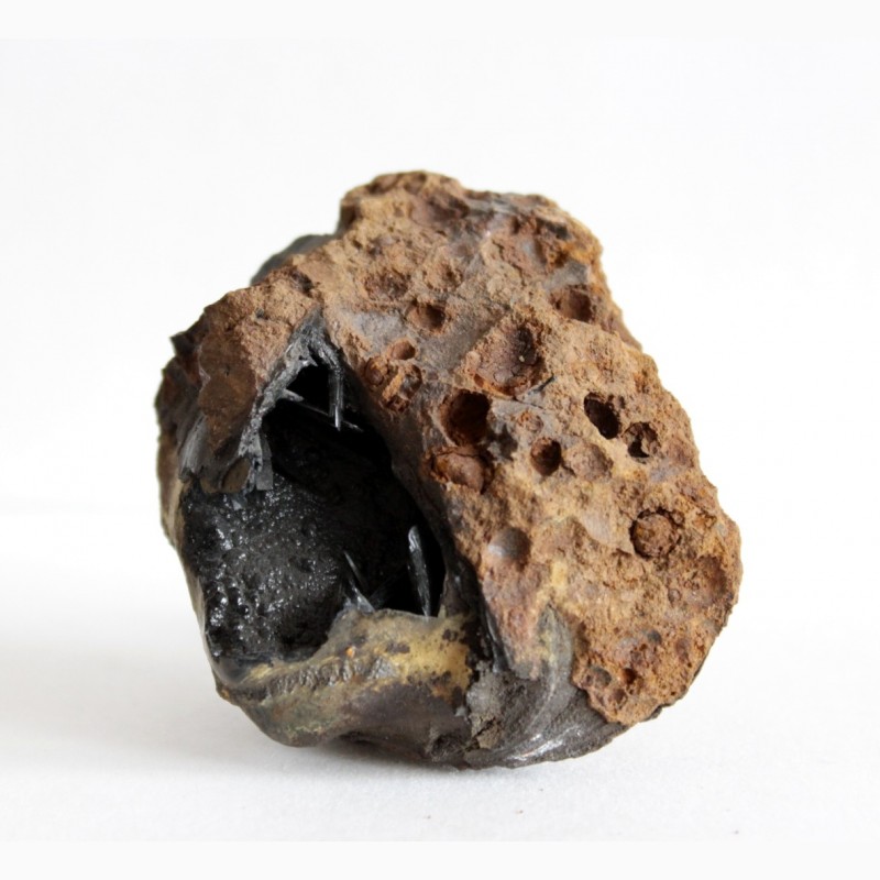 Фото 6. Кристаллы вивианита, псиломелан в полости ископаемой раковины в железной руде
