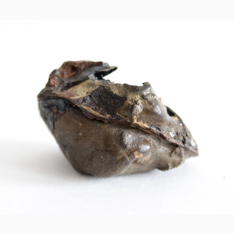 Фото 8. Кристаллы вивианита, псиломелан в полости ископаемой раковины в железной руде