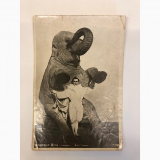Почтовая открытка В.Дуров со слоном