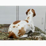 Фарфоровая статуэтка собака Поинтер, Дог, редкий окрас, ЛФЗ, состояние Люкс