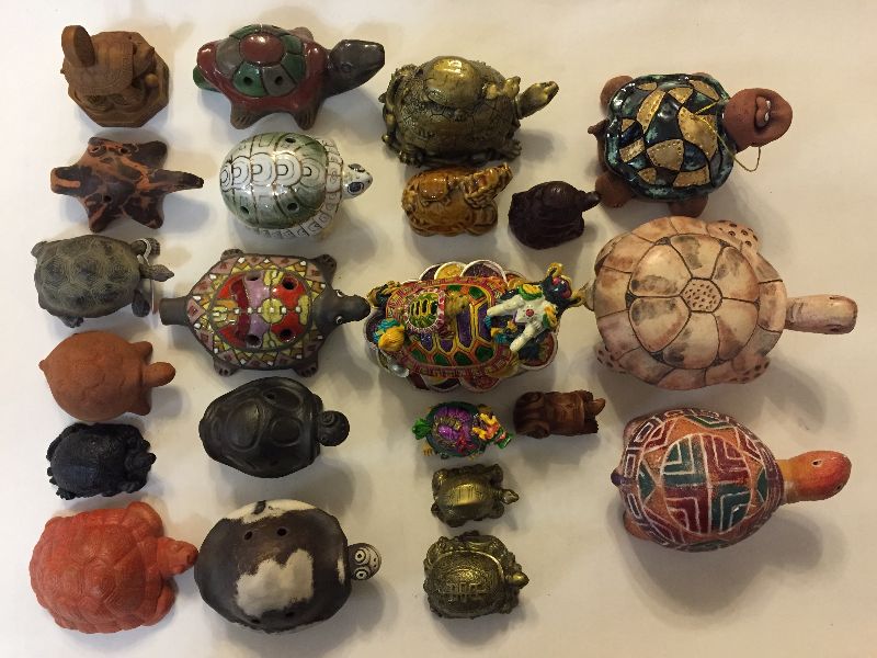 Коллекция из 5000 черепах