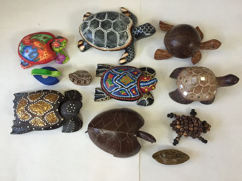 Фото 2. Коллекция из 5000 черепах