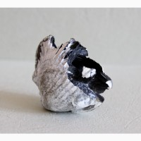 Кристаллы вивианита, псиломелан в раковине двустворчатого моллюска