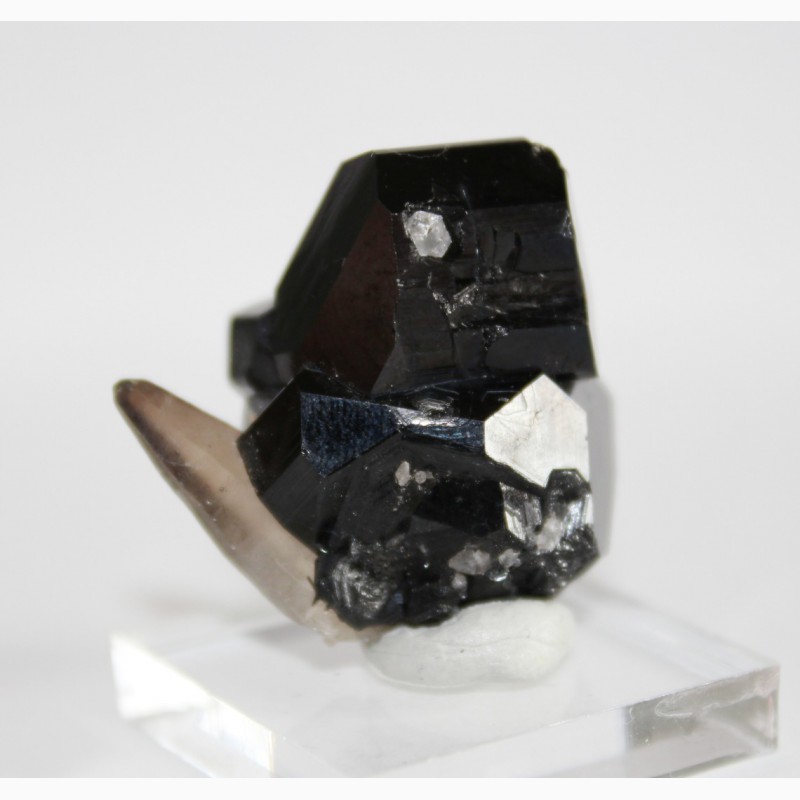 Фото 11. Черный турмалин (шерл), кварц, сросток кристаллов