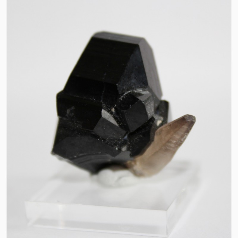 Фото 3. Черный турмалин (шерл), кварц, сросток кристаллов