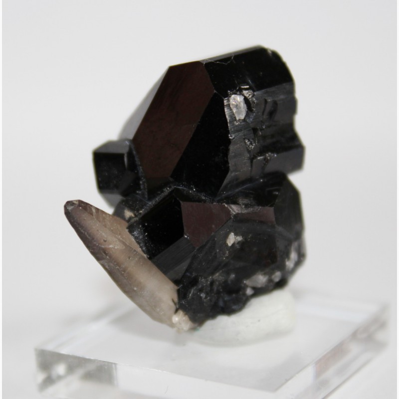 Фото 5. Черный турмалин (шерл), кварц, сросток кристаллов