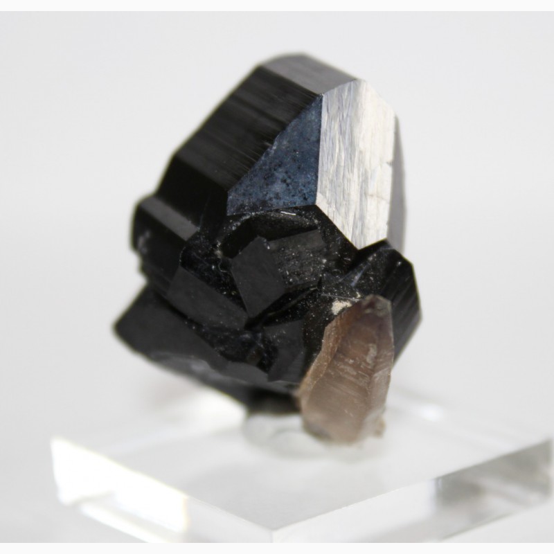 Фото 6. Черный турмалин (шерл), кварц, сросток кристаллов