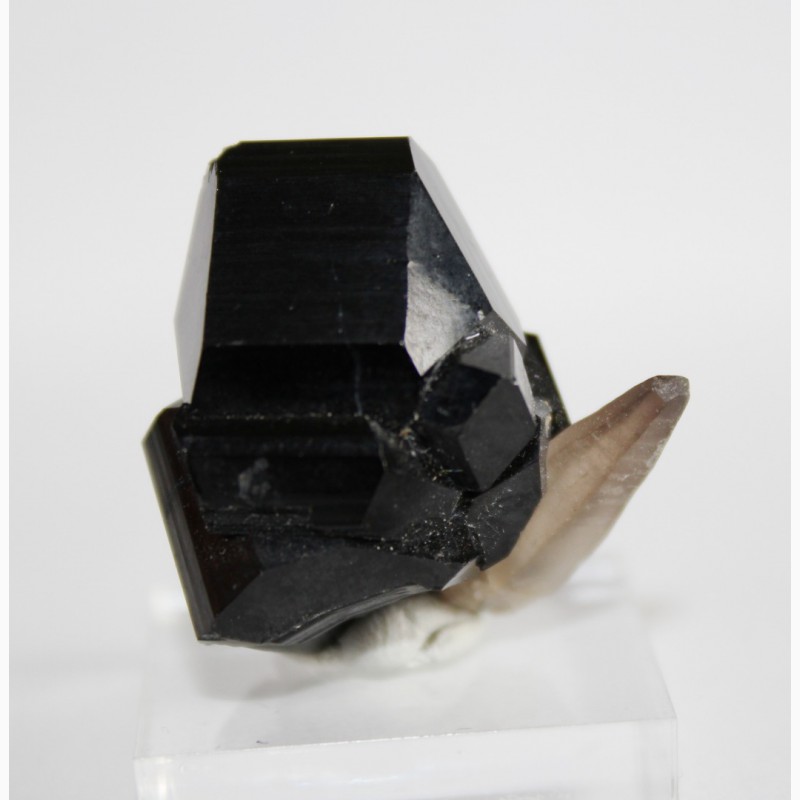 Фото 7. Черный турмалин (шерл), кварц, сросток кристаллов