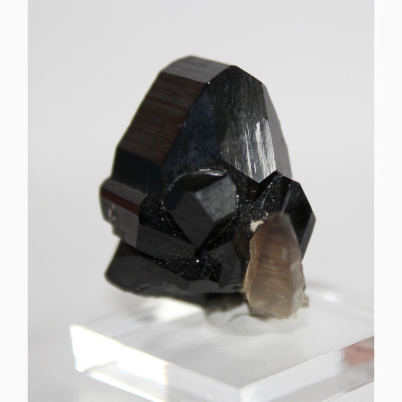 Фото 8. Черный турмалин (шерл), кварц, сросток кристаллов