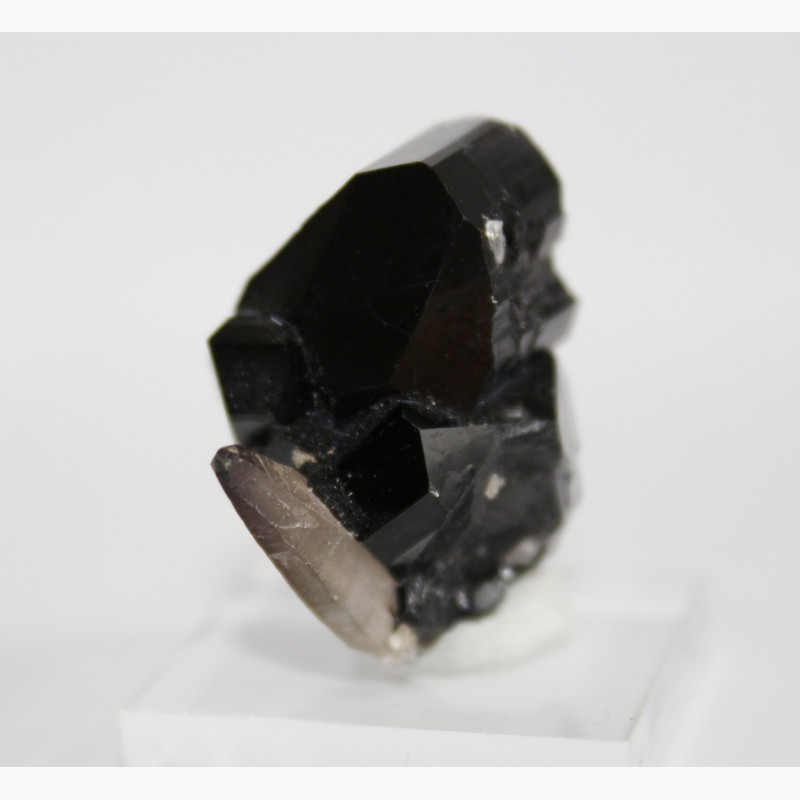 Фото 9. Черный турмалин (шерл), кварц, сросток кристаллов
