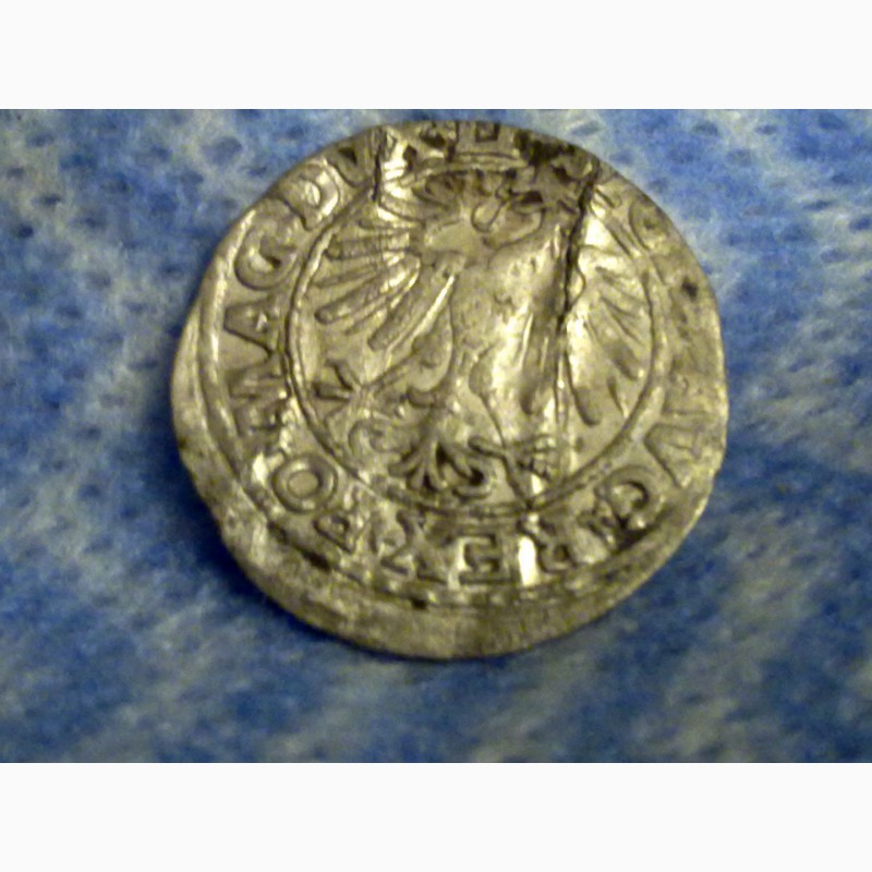 Фото 2. Монета 1547 года, полугрош, серебро, Великое княж Литовское Вильно. Времена крестоносцев