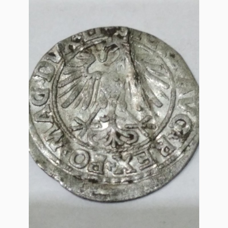 Фото 4. Монета 1547 года, полугрош, серебро, Великое княж Литовское Вильно. Времена крестоносцев