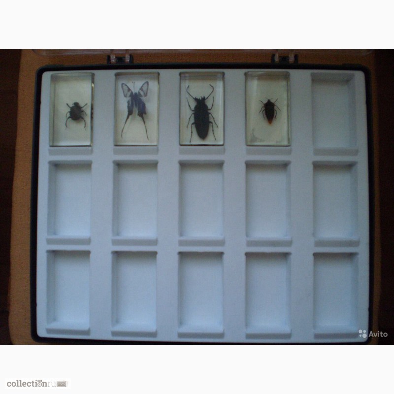 Фото 2. Продам коллекцию журнала насекомые и их знакомые 60 шт