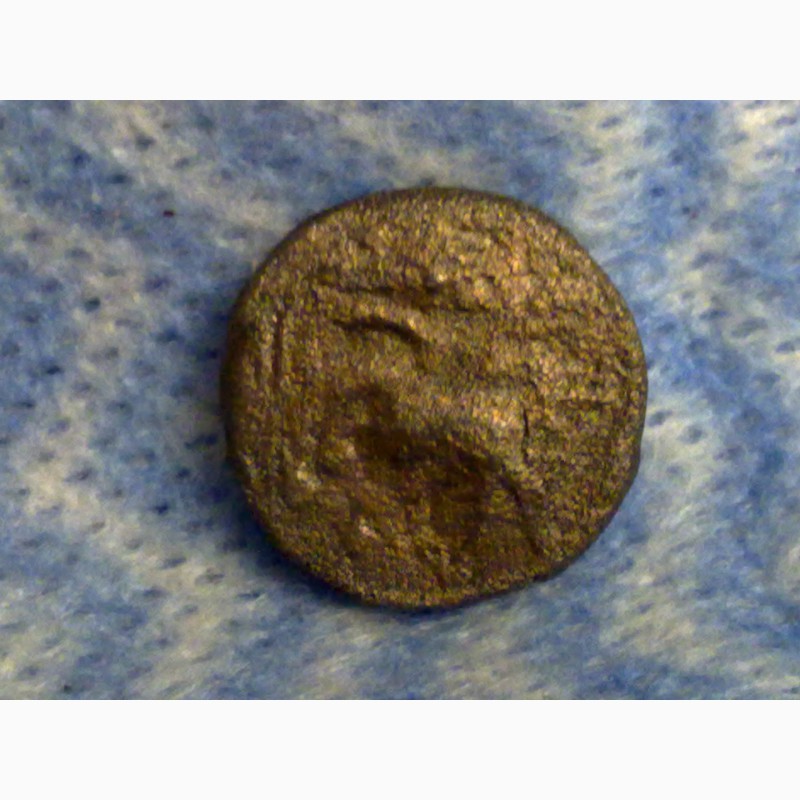 Фото 2. Древние монеты Крыма