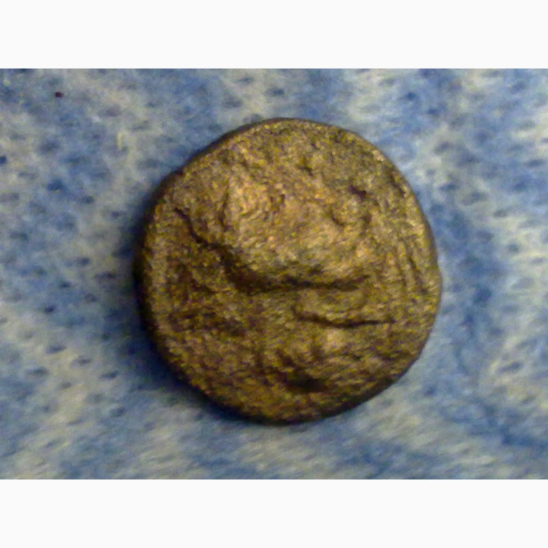 Фото 4. Древние монеты Крыма
