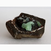 Анапаит, псиломелан с остатками ископаемой раковины в лимоните