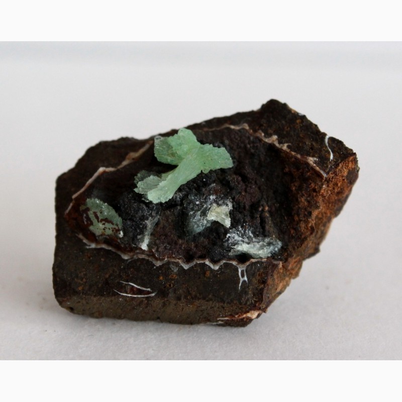 Фото 3. Анапаит, псиломелан с остатками ископаемой раковины в лимоните