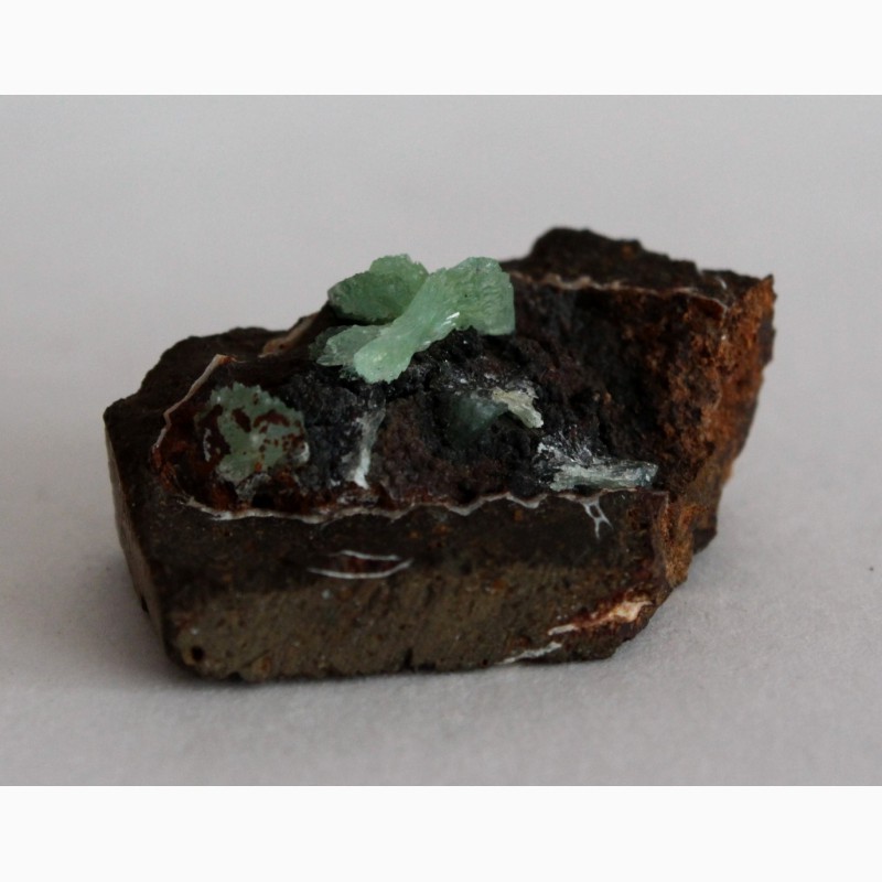 Фото 6. Анапаит, псиломелан с остатками ископаемой раковины в лимоните