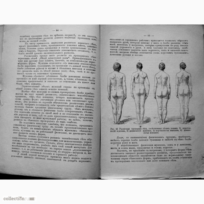 Фото 4. Раритет. Ранке «Физические различия человеческих рас»1902 год