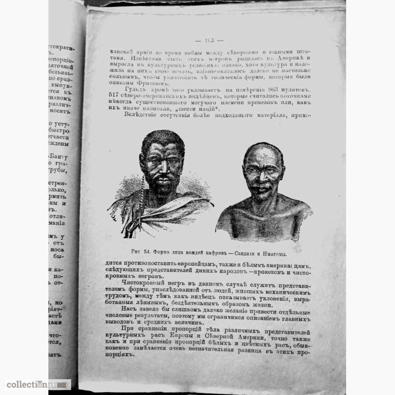 Фото 5. Раритет. Ранке «Физические различия человеческих рас»1902 год