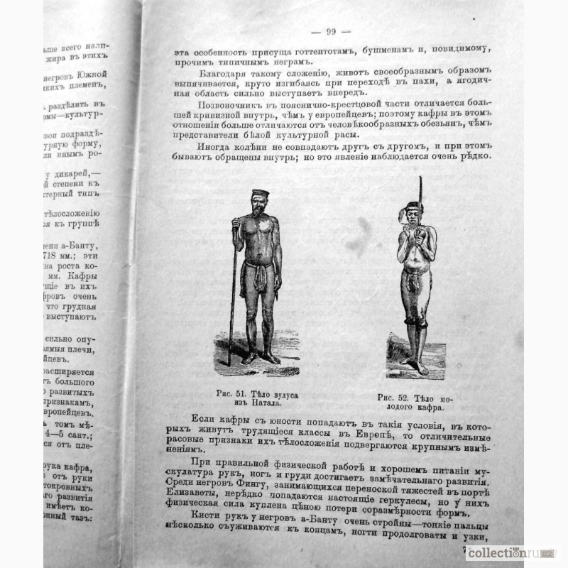 Фото 9. Раритет. Ранке «Физические различия человеческих рас»1902 год