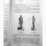 Раритет. Ранке «Физические различия человеческих рас»1902 год
