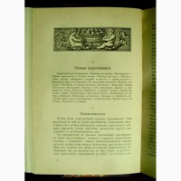 Раритет. Княжна Тараканова 1911 года