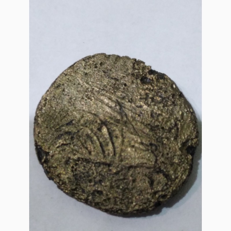 Фото 9. Древний Херсонес, реплика античной монеты, дева с луком и грифон