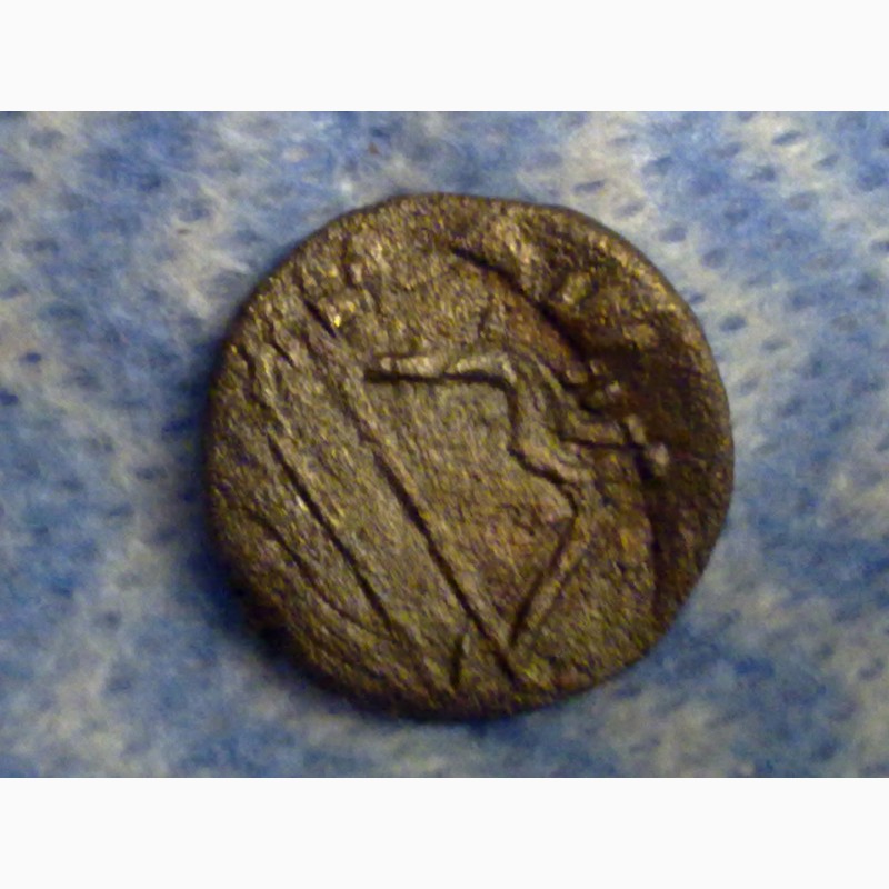 Фото 6. Древний Херсонес, реплика античной монеты, дева с луком и грифон