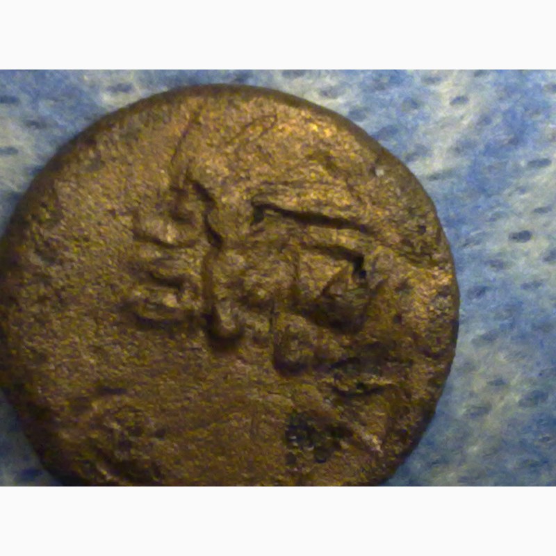 Фото 11. Древний Херсонес, реплика античной монеты, дева с луком и грифон