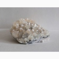 Друза кристаллов апофиллита