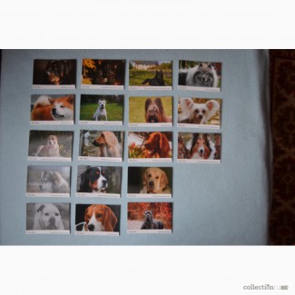 Продаю календарики из серии Кошки и из серии Собаки, по 18 штук в каждой серии