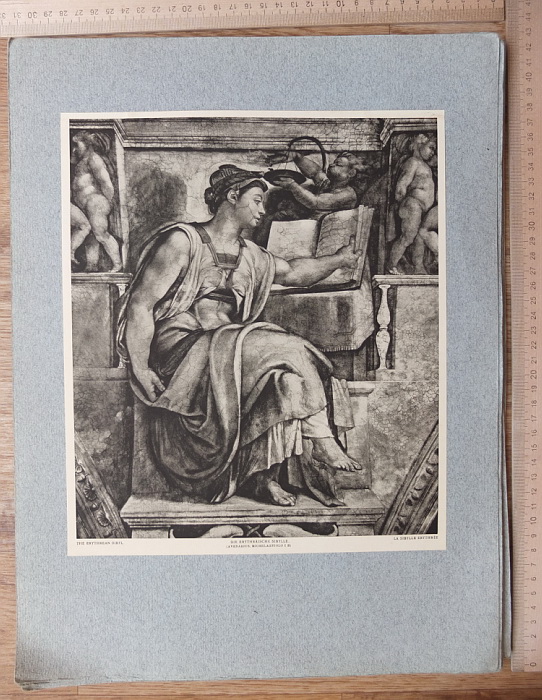 Фото 13. Папка гравюр Микеланджело Пророки и предсказательницы 16 гравюр, 1910 год издания