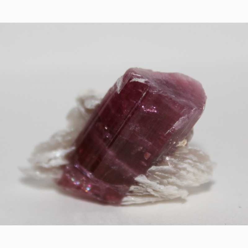 Фото 2. Турмалин розовый (рубеллит) c лепидолитом