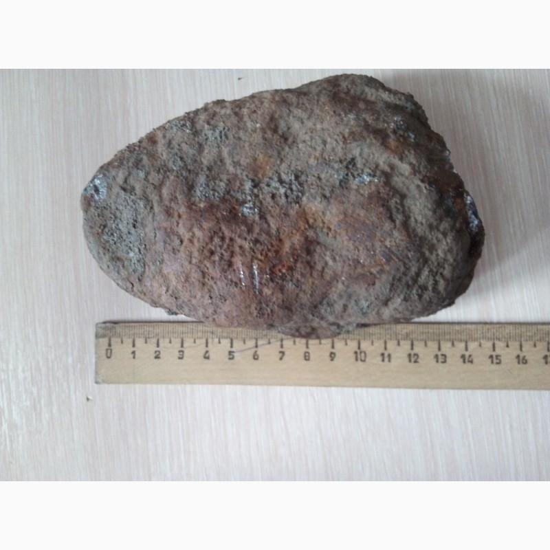 Фото 3. Железный метеорит