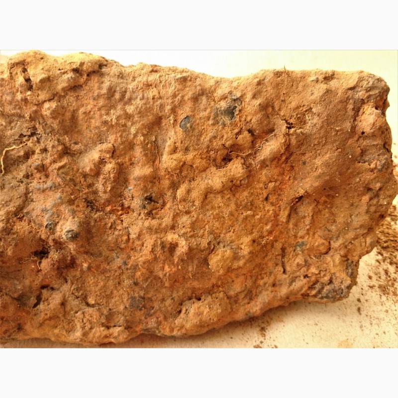 Фото 3. Железный метеорит.Вес 3.6 кг
