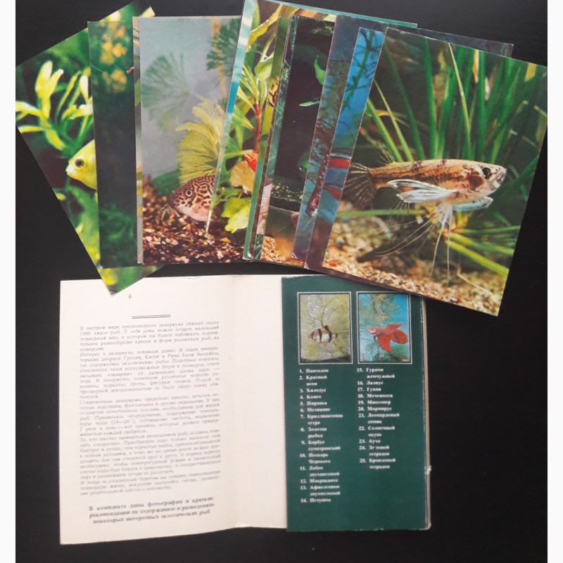 Фото 4. Продам набор открыток Пестрый мир аквариума 1980 г